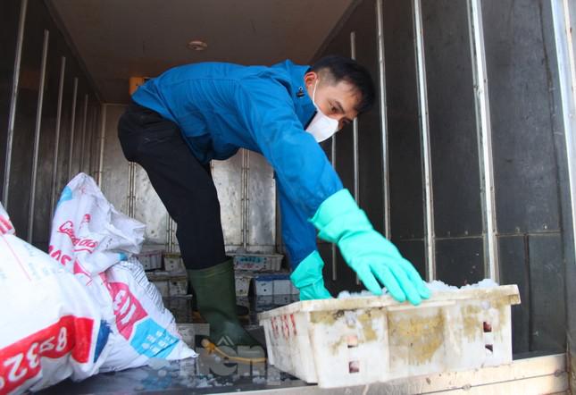 Thuyền ra khơi trúng đậm, đội bốc vác thuê tất bật những ngày đầu năm - 13