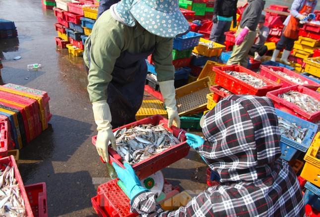 Tiền công sẽ được chủ tàu trả dựa vào số hàng đã làm. Với 1 tấn hàng làm được, những lao động này sẽ nhận 200 nghìn đồng tiền công.