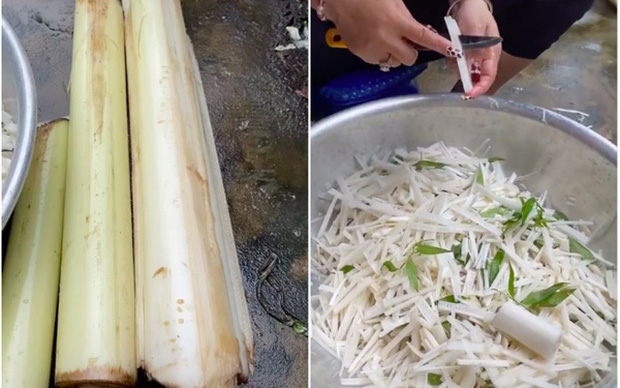 Thân chuối ở Việt Nam thường chỉ để cho gia súc hoặc bỏ đi