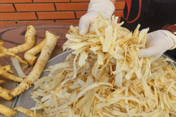 Thị trường - Tiêu dùng - Cây trồng làm cảnh, nay lấy củ và rễ làm thành mứt Tết "siêu lạ" giá 900.000 đồng/kg