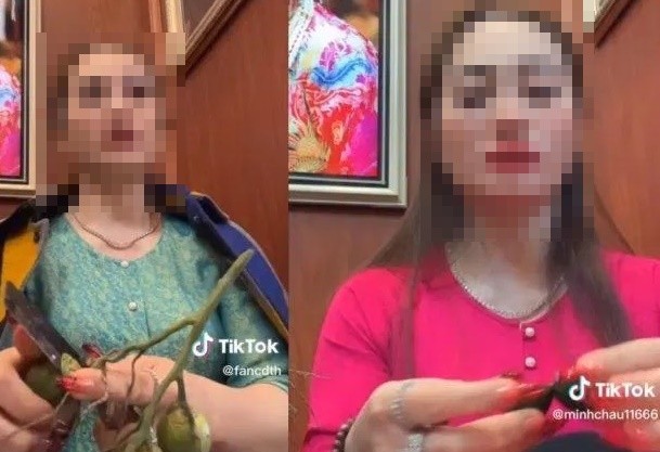 Cô đồng T.H những ngày gần đây nổi "rần rần" mạng xã hội, xem bói bằng hình thức... bổ cau