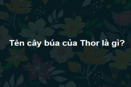 Giáo dục - du học - Giỏi đến mấy cũng chưa chắc trả lời đúng trọn bộ câu đố này