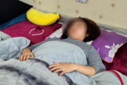 Tin tức trong ngày - Người phụ nữ bị trâu húc văng xuống bờ đê: Chủ trâu có phải chịu trách nhiệm?