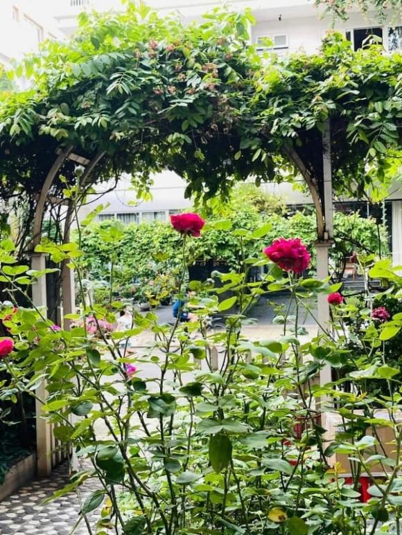 Choáng ngợp với biệt thự gần gũi thiên nhiên của bạn thân Tăng Thanh Hà - 5