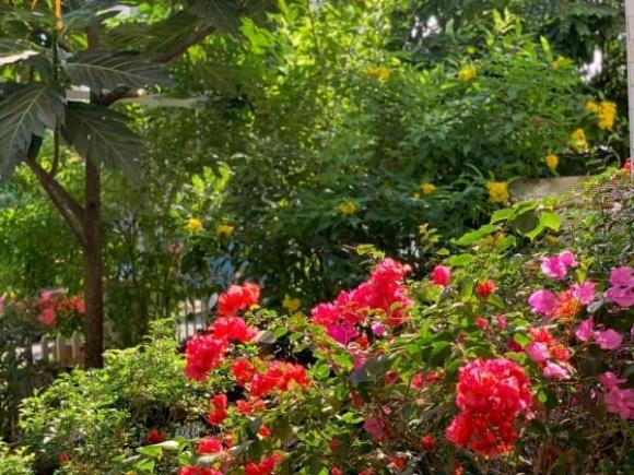 Choáng ngợp với biệt thự gần gũi thiên nhiên của bạn thân Tăng Thanh Hà - 6