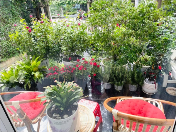 Thân Thúy Hà thiết kế thêm góc ngồi
thư giãn để ngắm hoa thưởng trà trong khu biệt thự sang trọng,
rộng rãi. Không gian nhiều cây xanh, hoa tươi không thua gì các nhà
hàng xịn sò.