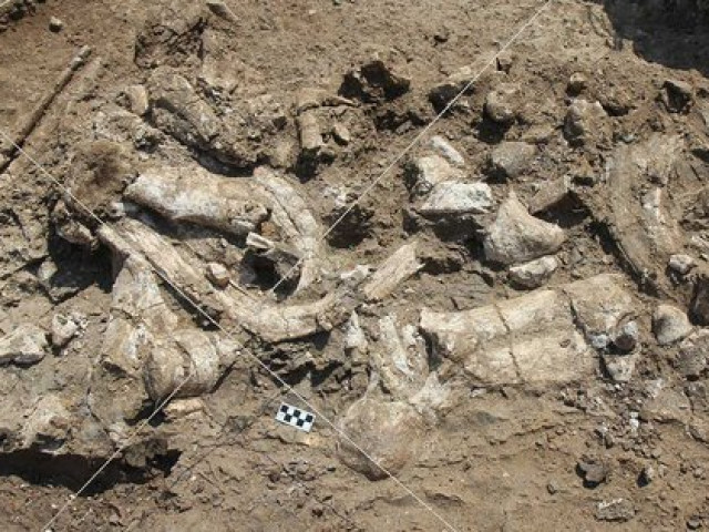 Du lịch - Phát hiện sốc: "Đồ công nghệ" 3 triệu tuổi không phải con người làm ra