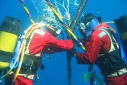 Công nghệ thông tin - Chỉ đạo "nóng" của Bộ TT&amp;TT liên quan sự cố cáp quang biển lớn nhất lịch sử