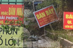 Kinh doanh - Nhà đất rao bán khắp nơi, vợ chồng lục đục vì "ôm đất"