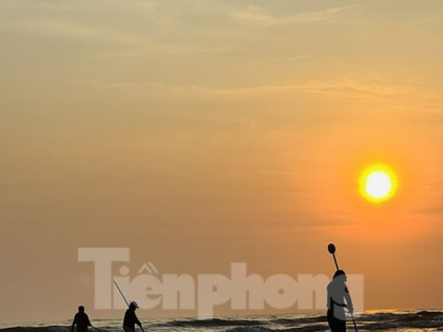 Thị trường - Tiêu dùng - Ra biển bắt ốc bé bằng móng tay, ngư dân kiếm bộn tiền mỗi sáng