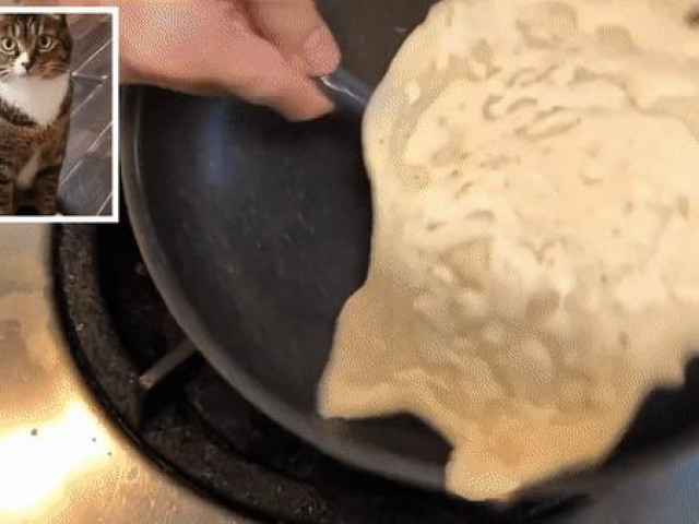 "Ngả mũ" trước đầu bếp Nhật, tạo hình mèo trên bánh pancake chỉ trong 5 phút