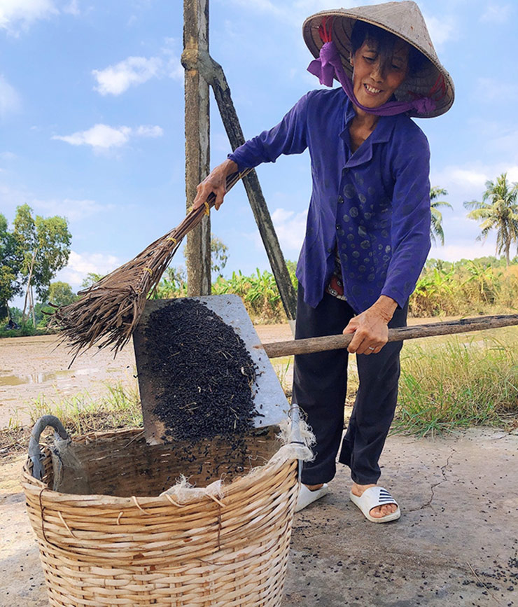 Nuôi dơi không chỉ tốn ít chi phí, ít công chăm sóc mà còn rất “năng suất” vì chúng sinh sản nhanh
