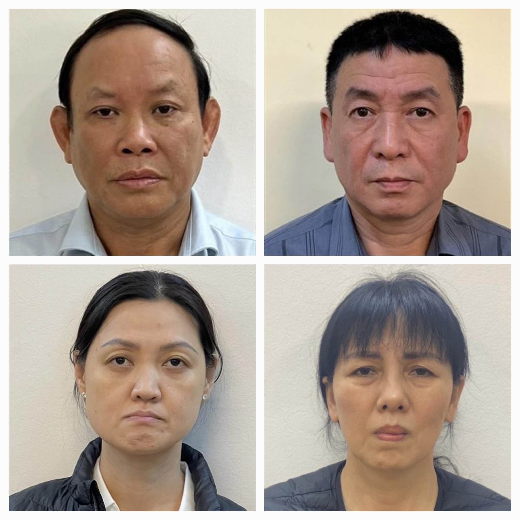 Các bị can bị bắt giữ trong vụ án.