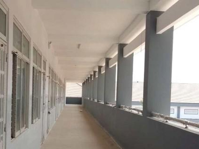 Pháp luật - Điều tra vụ một học sinh lớp 5 tử vong tại trường