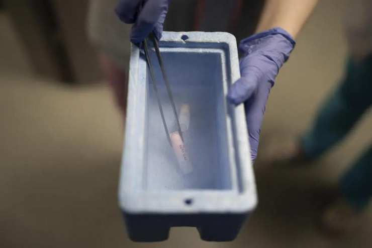 Một mẫu tinh trùng được bảo quản bằng nitơ lỏng tại phòng khám hỗ trợ sinh sản IVMED ở Kyiv, Ukraine. Ảnh: AP