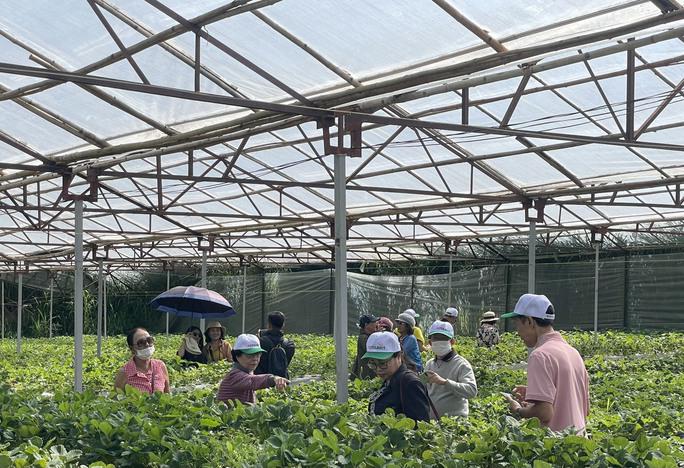 Du khách chủ yếu đi theo đoàn