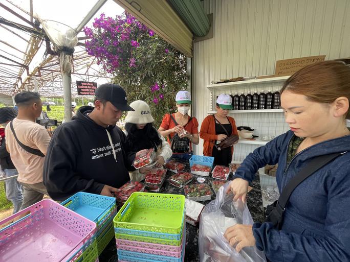 Chị Phạm Nữ Ngọc Trâm đang đóng gói dâu cho khách