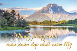 Những phong cảnh mùa xuân đẹp nhất xứ cờ hoa
