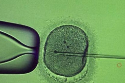 Thế giới - Nhiều binh sĩ Ukraine tìm đến biện pháp đông lạnh tinh trùng giữa xung đột với Nga