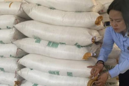 Kinh doanh - Lo thất thu thuế 1.200 tỉ vì đường gian lận xuất xứ