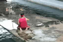 Tranh vui - Những tình huống bất ngờ khiến nhiều người phải "hoảng hồn"