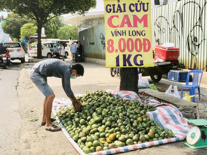 Một điểm bán cam vỉa hè treo biển "giải cứu" cam Vĩnh Long