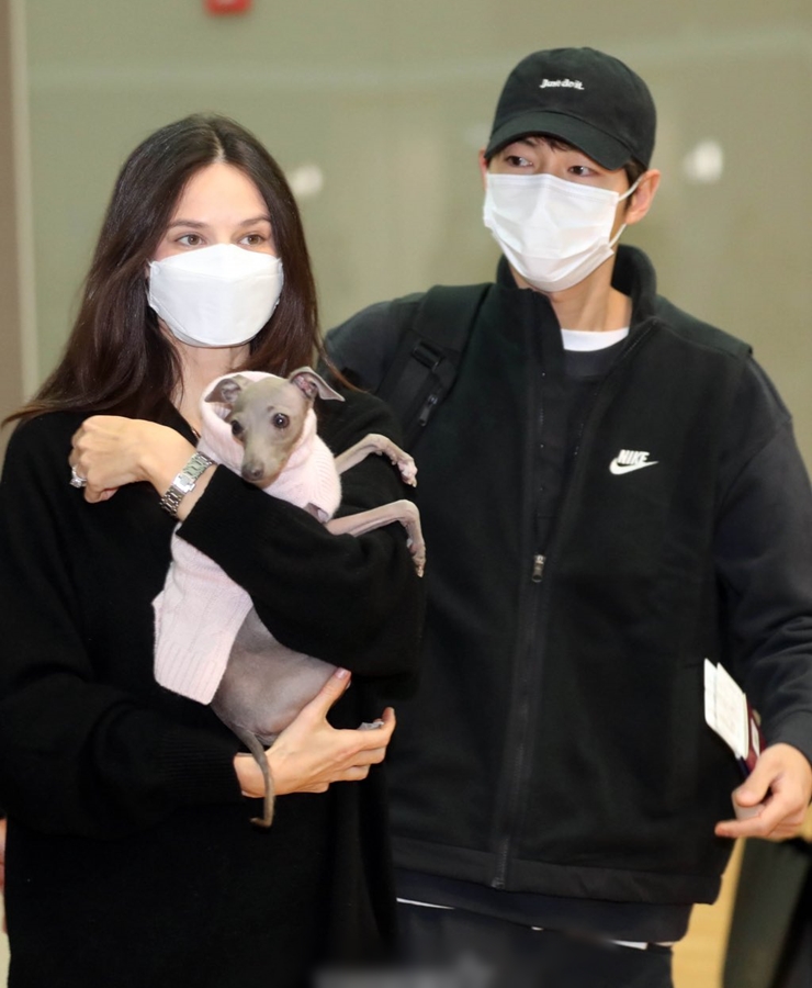 Song Joong Ki có hành động ngọt ngào với vợ ở sân bay
