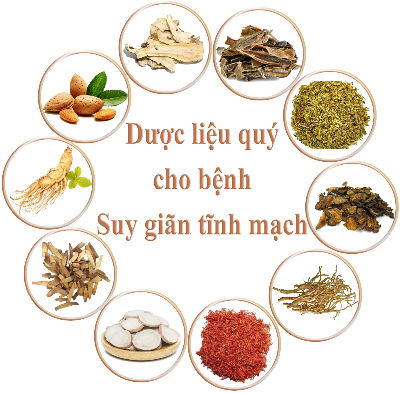 Một số được liệu quý hỗ trợ điều trị hiệu quả suy giãn tĩnh mạch (Ảnh minh họa)