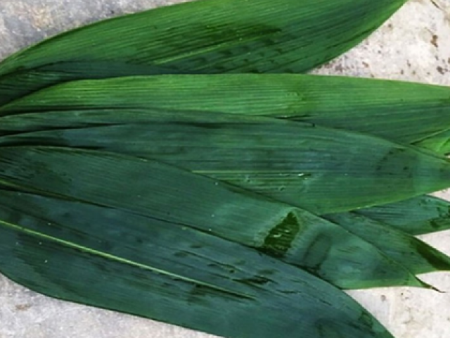 Thị trường - Tiêu dùng - Lá tre mọc hoang cho không ai lấy, sang trời Tây bán giá "cắt cổ"