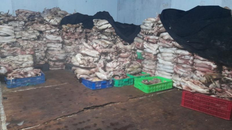 Kho lạnh bảo quản sản phẩm động vật chứa khoảng 4 tấn mèo đã qua giết mổ.