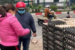 Thị trường - Tiêu dùng - Nóng tuần qua: Trứng gà ta rẻ bất ngờ, người nuôi tiết lộ nguyên nhân