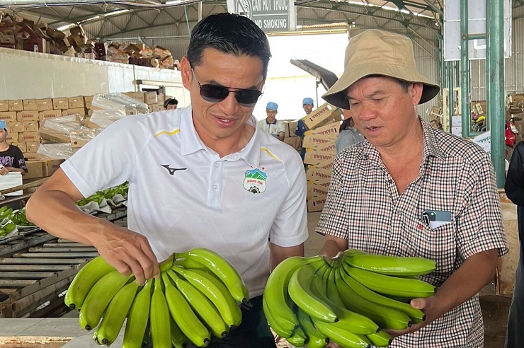 Giá chuối đang ở mức cao nhất trong 3 năm qua đưa doanh thu mảng cây ăn trái của Hoàng Anh Gia Lai tăng đáng kể