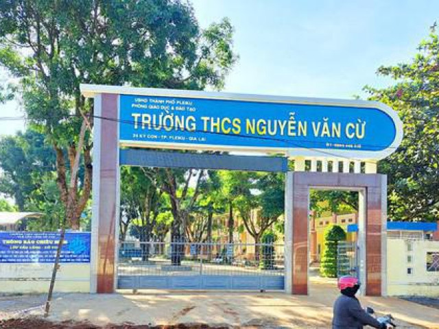 Buộc thôi việc 1 hiệu phó dùng bằng giả