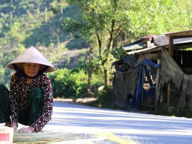 Thị trường - Tiêu dùng - Ảnh: Đồng bào miền núi Quảng Nam kiếm bộn tiền mùa đót