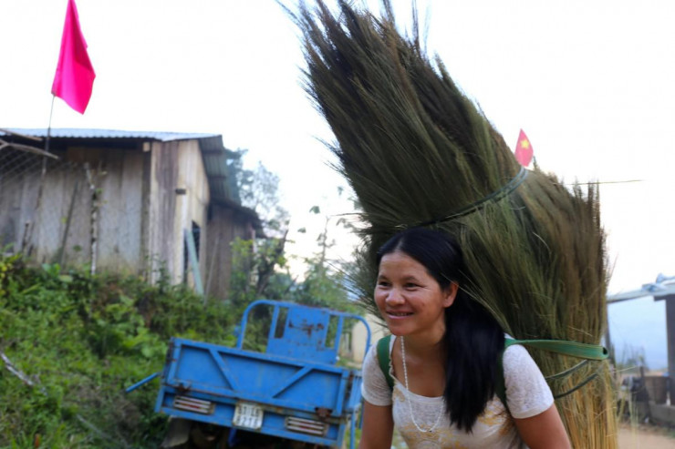 Chị Hồ Thị Non (ngụ xã Trà Tập, huyện Nam Trà My) cho biết, thời tiết sau Tết Nguyên đán thuận lợi, trời nắng đẹp. Từ sáng sớm, chị cùng mọi người băng rừng hơn hai giờ đồng hồ để hái đót..