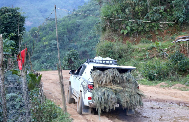 Sau khi thu mua đót của người dân, đót sẽ được anh Luẫn bán lại cho thương lái từ dưới xuôi. Đường đến chỗ anh Luẫn, chỉ có xe bán tải mới đến đi đến chở hàng được.