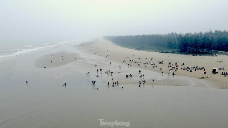 Liên tiếp những ngày qua, dọc bãi biển xã Thịnh Lộc (huyện Lộc Hà, Hà Tĩnh), có hàng trăm người mang theo vợt, xô nhựa, bì tải đi vớt sò lông.