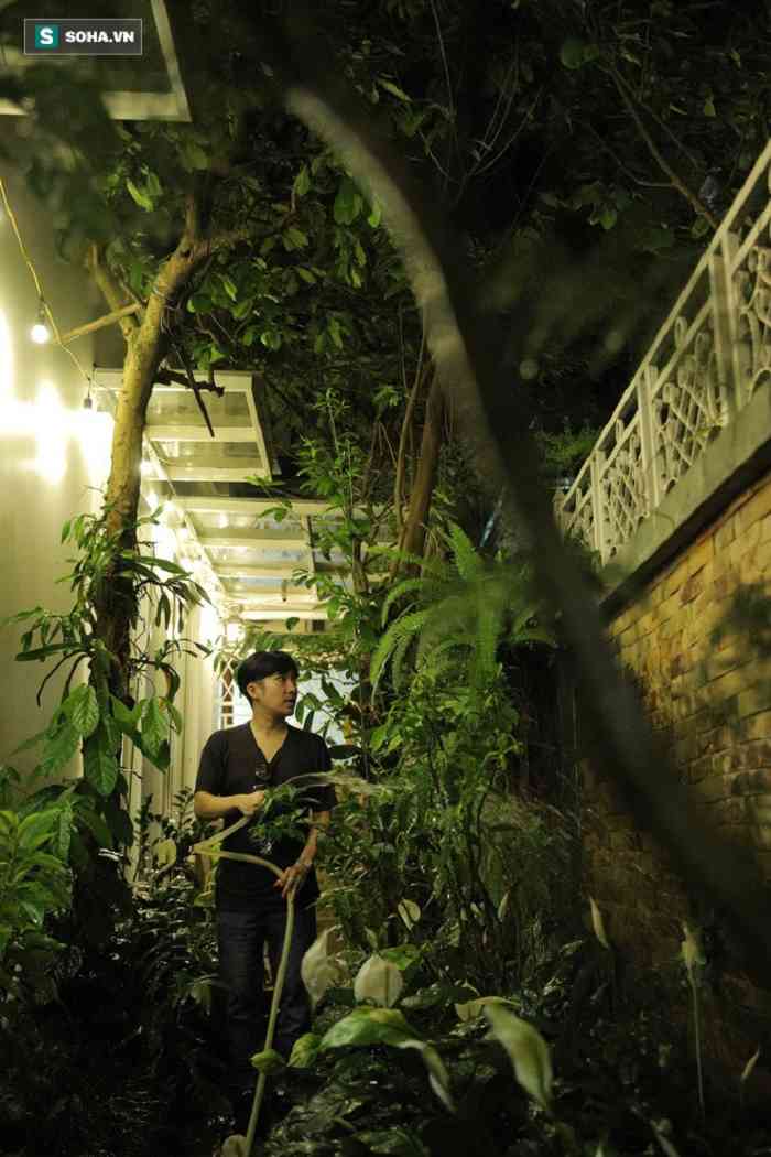 Toàn bộ cây cối trong vườn đều do Quang Hà tự
tay sưu tập. Khu vườn nhỏ bao quanh căn biệt thự không chỉ là sở
thích của nam ca sĩ mà còn đem lại sự hài hòa, tươi mới cho không
gian sống của chủ nhân.