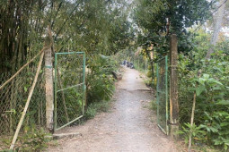 Pháp luật - Nổ súng do mâu thuẫn giữa cậu cháu, 1 người tử vong