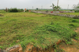 Kinh doanh - Nữ 9X Quảng Bình ôm 500 triệu về quê đầu tư 3 lô đất sau 2 năm ra trường