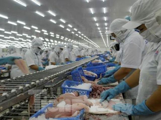 Thị trường - Tiêu dùng - Vì sao cá tra Việt xuất Mỹ đang đà tỷ USD bỗng tuột dốc mạnh?