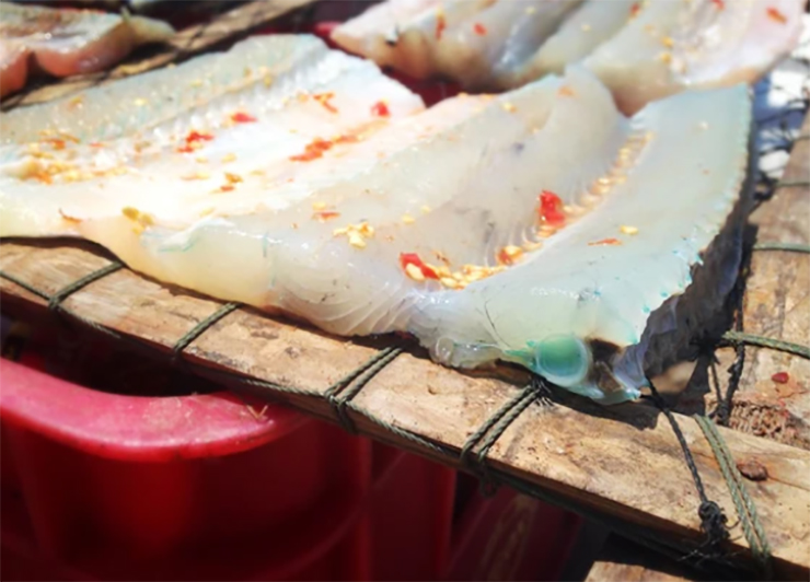 Thịt cá không chỉ ngọt mà còn dai dai, bổ dưỡng. Trên thị trường, cá xương xanh có giá từ 120.000-150.000 đồng/kg.
