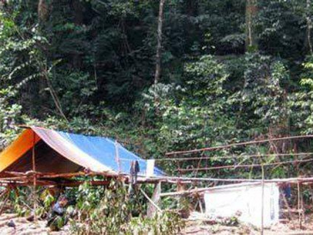 Thảm án 5 phu trầm bị sát hại và hành trình phá án giữa rừng sâu (P1): Vụ bắt cóc nơi hoang vắng