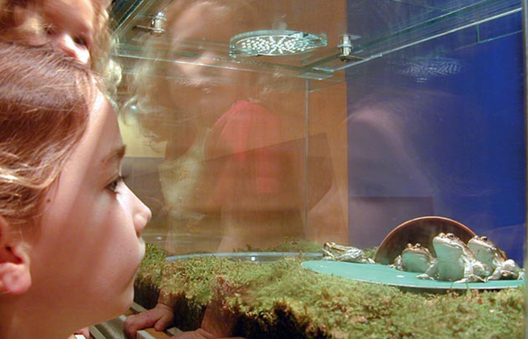 Những điều thú vị du khách phải thử trải nghiệm ở Kinh đô Ánh sáng - 5