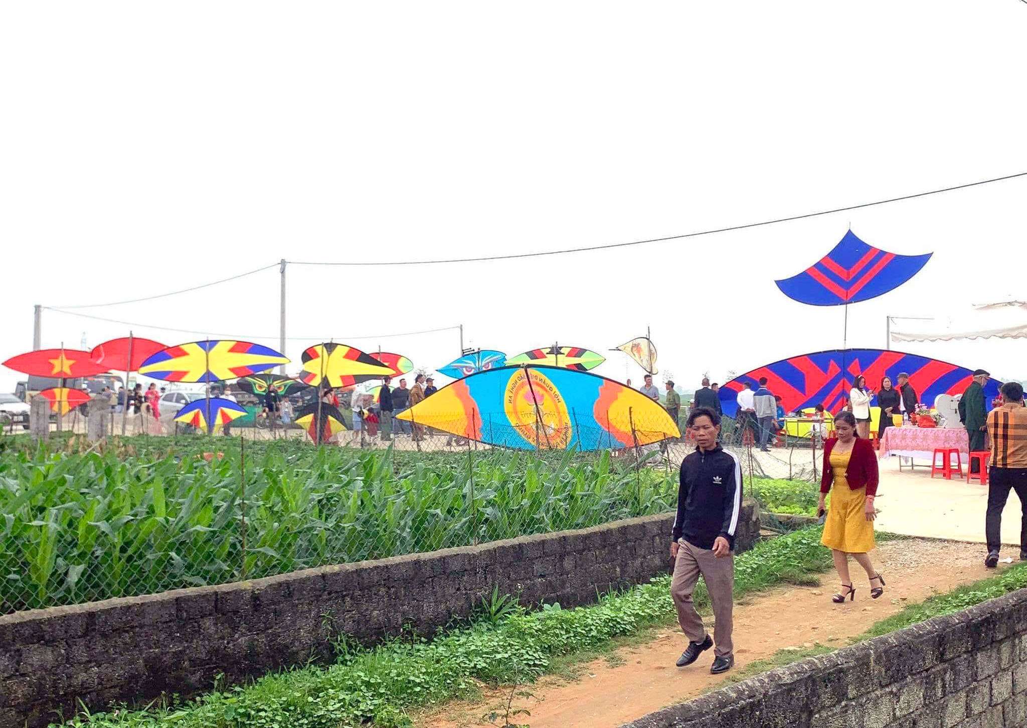 Độc, lạ ở Nghệ An: Đến đám cưới mà ngỡ đến nhầm triển lãm diều sáo - 2