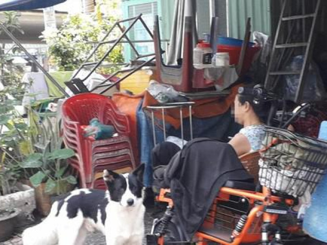 Tin tức trong ngày - Thú cưng tấn công người: Có thể truy cứu trách nhiệm hình sự chủ nuôi