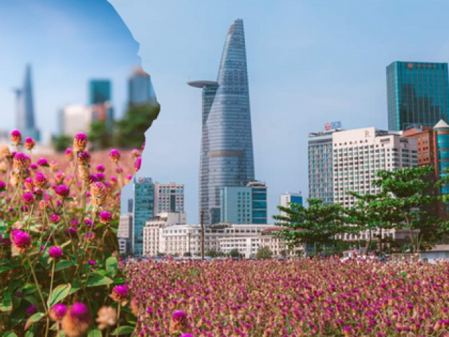 Du lịch - Giới trẻ TP.HCM rộn ràng rủ nhau "check-in" cánh đồng hoa tím mộng mơ