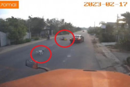 Clip: Cứu mạng con chó thả rông, tài xế ô tô khiến lái xe máy gặp nạn văng xa chục mét