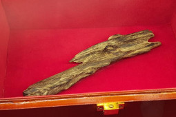 Thị trường - Tiêu dùng - Loại gỗ có ở Việt Nam giá 2 tỷ/kg được đại gia "săn lùng"