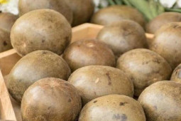 Ẩm thực - Người thường xuyên hút thuốc, dùng 3 thực phẩm này để thải độc và cải thiện chức năng phổi